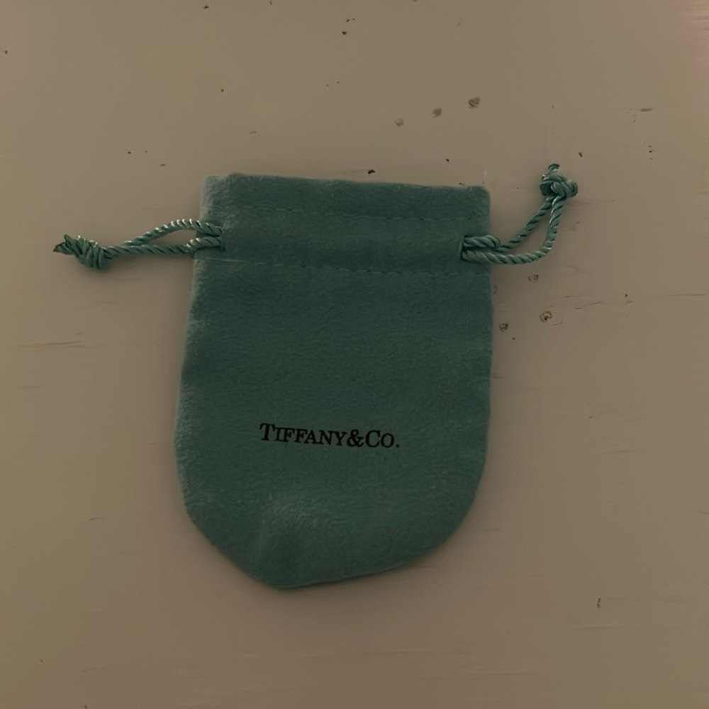 Authentic Tiffany and Co Jewelry Pouch
